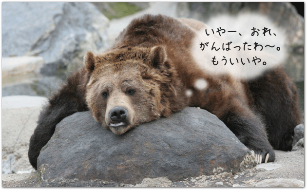 tired-bear