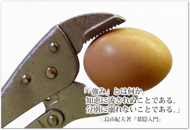 20130630-mishima