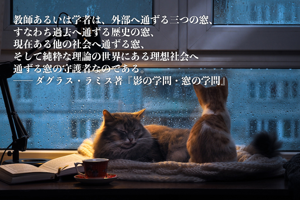 cat-beside-window