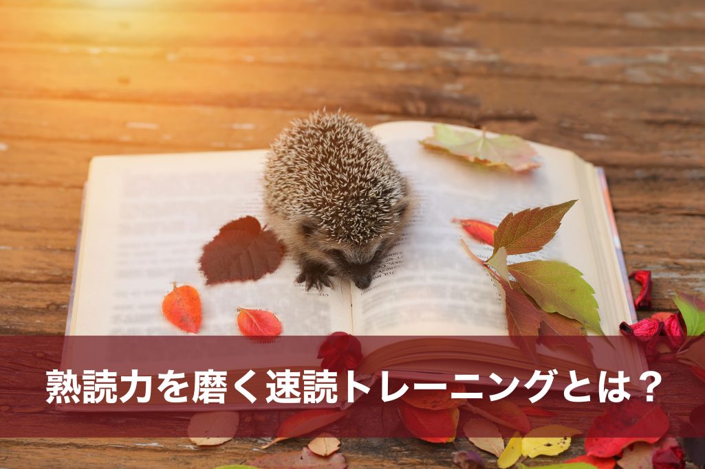 hedgehog-on-book