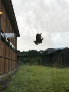 D480102E-F4D8-4050-8C6F-E9D29C0D4077