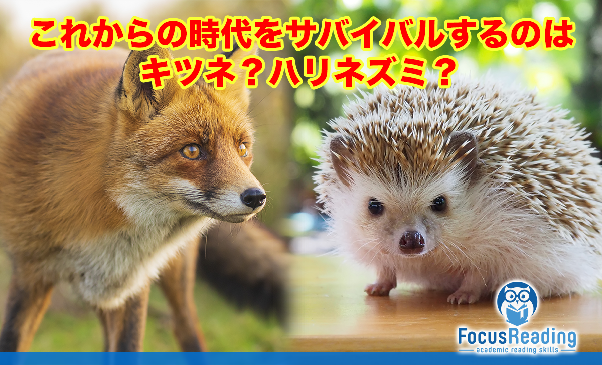 hedgehog-vs-fox